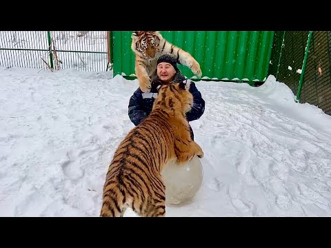 Видео: ПЯТЬ УДИВИТЕЛЬНЫХ СПАСЕНИЙ ЛЮДЕЙ В ЯКУТИИ