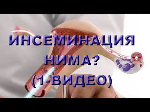 Видео: ИНСЕМИНАЦИЯ НИМА? (1-ВИДЕО)