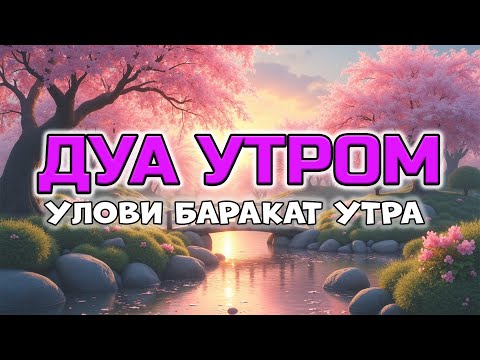Видео: НЕ УПУСТИ БАРАКАТ УТРА! 🌅 ДУА УТРОМ! 🔊🤲