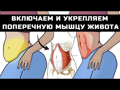 Видео: ТОРЧИТ ЖИВОТ и ДОМИК НА ЖИВОТЕ: как убрать? ПОПЕРЕЧНАЯ МЫШЦА ЖИВОТА — секрет идеального пресса!