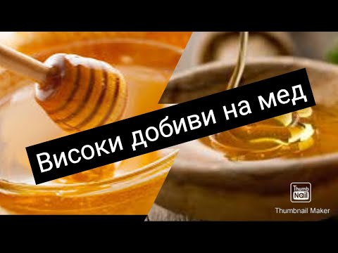 Видео: Каk да получите рекордни количества мед. Лична изповед.