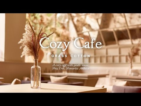 Видео: Уютное кафе и нежная музыка l GRASS COTTON+