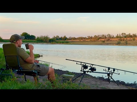 Видео: РЫБАЛКА С НОЧЕВКОЙ! Карпфишинг 2025 летом. Ловля карпа на водоеме Орлеан в жару | часть 2