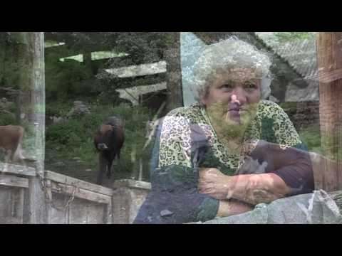 Видео: БАЛЦЫ ВИЛДАЙЫ ХЪÆУМÆ