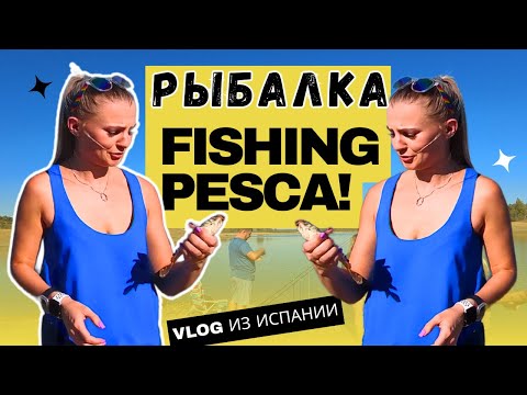 Видео: VLOG: Рыбалка в Испании: Приключения, Которые Нельзя Пропустить!
