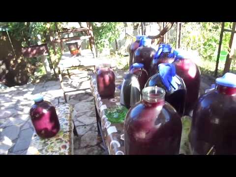 Видео: Вино из "Изабеллы"- ЯД. Сколько вино бродит? Снять с осадка "на глаз".