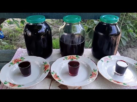 Видео: Liqueur making. Cherry, irga & blackberry. РЕЦЕПТ СУПЕР СМАЧНОГО ЛІКЕРУ!!! З ВИШНІ, ІРГИ ТА ОЖИНИ!