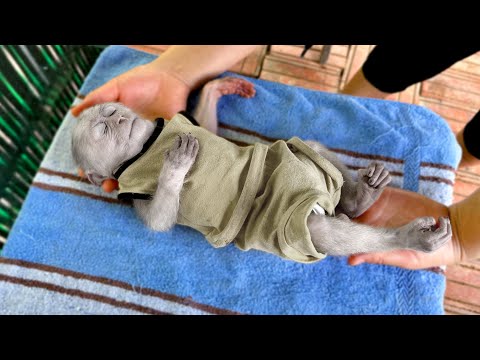 Видео: Что случилось с Каки? Мама была в шоке, увидев это!!!