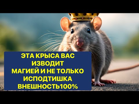 Видео: “ЭТА КРЫСА ВАС ИЗВОДИТ МАГИЕЙ И НЕ ТОЛЬКО ИСПОДТИШКА❗️ ВНЕШНОСТЬ 💯💯💯💯❗️❗️❗️