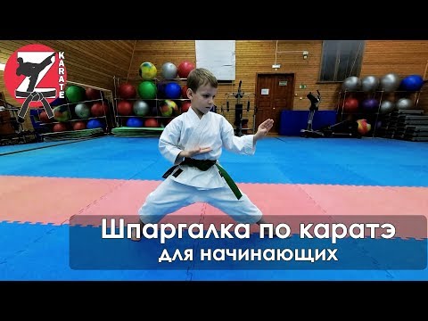 Видео: Шпаргалка по каратэ для начинающих