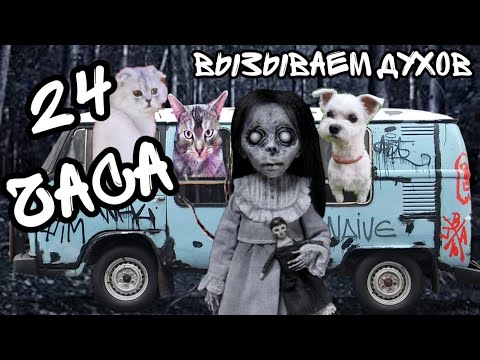 Видео: 24 ЧАСА В МАШИНЕ В ЛЕСУ В ХЭЛЛОУИН | КОШАЧЬЯ ИСТОРИЯ УЖАСОВ 2 СЕРИЯ