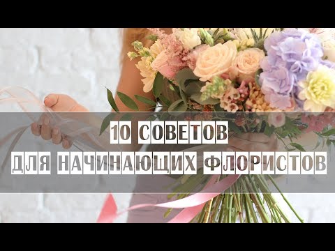 Видео: 10 советов для начинающих флористов