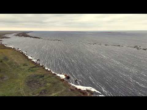 Видео: Шаглытениз с высоты | Осенний ветер и серое небо над озером | Казахстан с дрона 4K