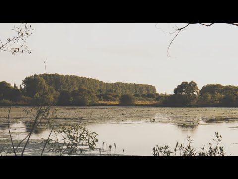 Видео: Тепло летних дней