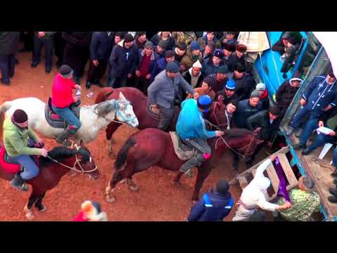 Видео: 25.01.2020 Бузкаши кок-бору( БУЗИ ОХИРОН ) популярные в Таджикистане /часть 4/ Ипподром