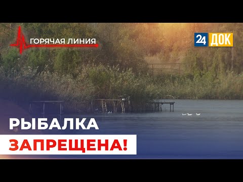 Видео: Почему людям запрещают ловить рыбу в реке? ГОРЯЧАЯ ЛИНИЯ