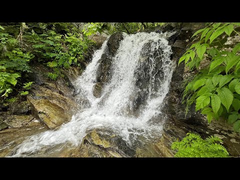 Видео: Иду на Уюновский водопад / Сахалин