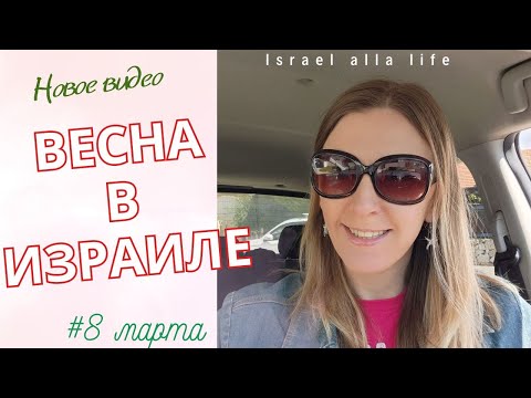 Видео: 8 Марта. Отношения со свекровью на новой квартире. Жизнь в Израиле