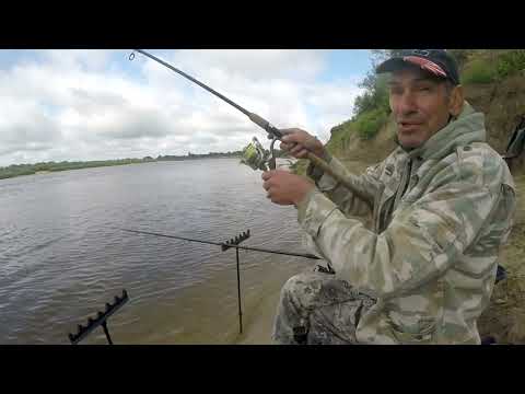 Видео: На глубине рыбы нет. Плотва стоит на трёх метрах...
