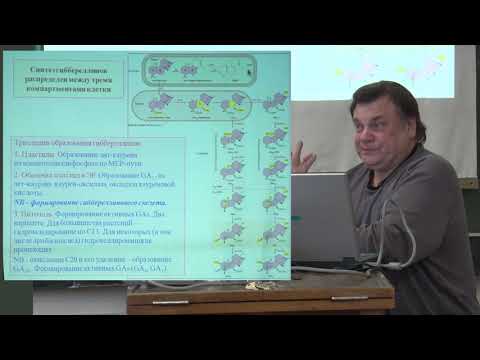 Видео: Носов А. М. - Физиология растений. Часть 2 - 2. Неклассические фитогормоны