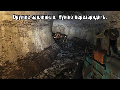 Видео: Мои любимые друзья :)))))) STALKER Тайные Тропы OGSR #30