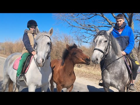 Видео: открываем тайну года!!! Моя дочь  в 11 лет стала коневладельцем😯🫢😊