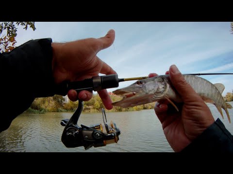 Видео: Мормышинг рулит! 100 пудов...