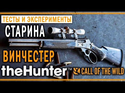 Видео: theHunter Call of the Wild #21 🐻 - Охота с Рычажной Винтовкой и Рекурсивным Луком