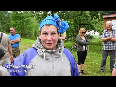 Видео: СНТ "КЕДР" массива "15км ж:д Тосно Шапки"