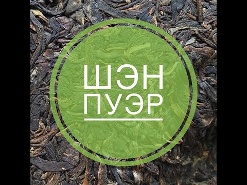 Видео: Про шэн (не «шЕн»!) пуэр. Часть первая