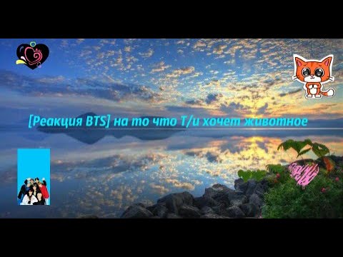 Видео: [ Реакция  BTS] на то что Т/и хочет животное