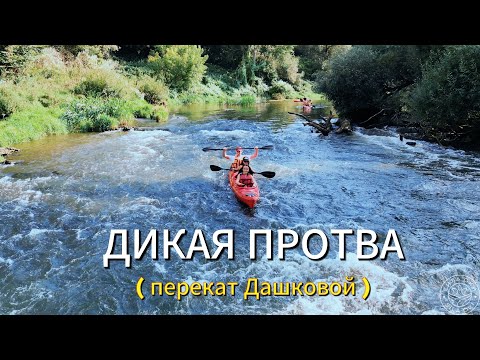 Видео: Самая Дикая река в подмосковье, перекат Дашковой