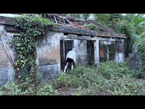 Видео: Девушка была шокирована видом разрушенного дома ее бывшей приемной матери