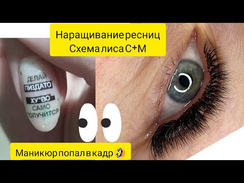 Видео: Микс изгибов  С+М ,схема лиса наращивание ресниц 5-7д