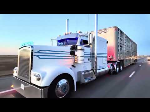 Видео: Ночной перелет в прерии