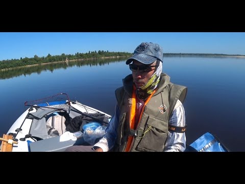 Видео: Пассивный лещ на молочно - злаковую прикормку. Рыбалка на бортовые удочки
