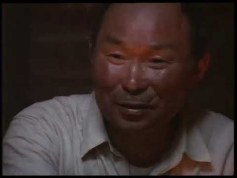 Видео: Юрий Велла из рода Айваседа