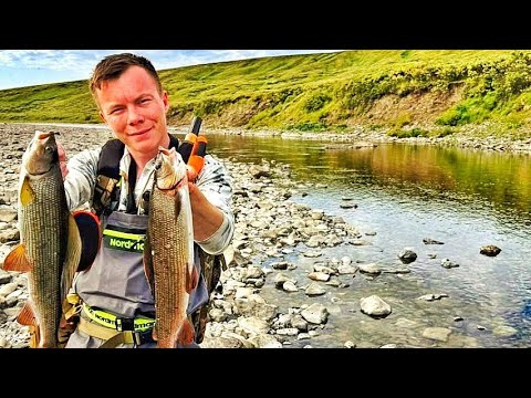 Видео: ОГРОМНЫЕ РЫБИНЫ НА МЕЛИ!!! РЫБАЛКА НА  ХАРИУСА НА ПЕРЕКАТАХ ГОРНОЙ РЕКИ!!!