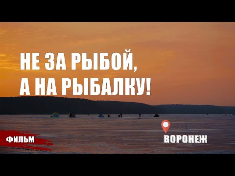 Видео: НЕ ЗА РЫБОЙ, А НА РЫБАЛКУ! "ЛЕСНАЯ ШКОЛА", ВОРОНЕЖСКОЕ ВОДОХРАНИЛИЩЕ.