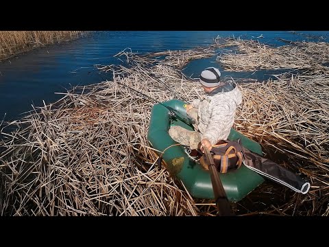 Видео: Ловля карася с лодки на пруду в апреле