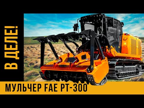 Видео: ГРЯЗНЫЙ БИЗНЕС/МУЛЬЧЕР FAE PRIME TECH PT 300 / РЕАЛЬНАЯ РАБОТА НА МАКСИМАЛКАХ / РАСЧИСТКА ТЕРРИТОРИЙ