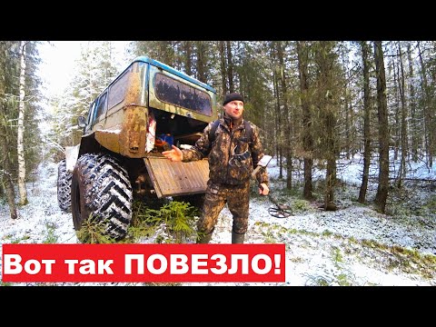 Видео: ШИКАРНЫЕ НАХОДКИ! Ради этого стоит жить в лесу. Ночной МЕГА КОП в заброшенном поселке!