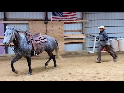 Видео: Моя лошадь не стоит на месте!