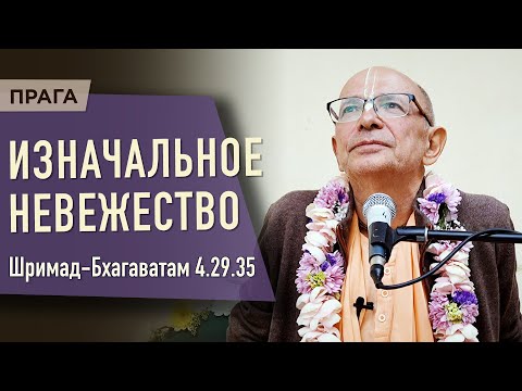 Видео: 2023.06.14 - ШБ 4.29.35. Изначальное невежество (Прага) - Бхакти Вигьяна Госвами