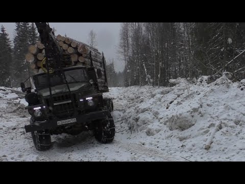 Видео: За лесом на Урале лесовозе. Застрял на площадке.