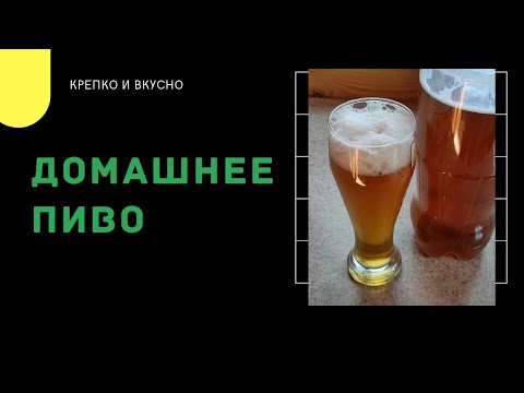Видео: Как сварить пиво дома