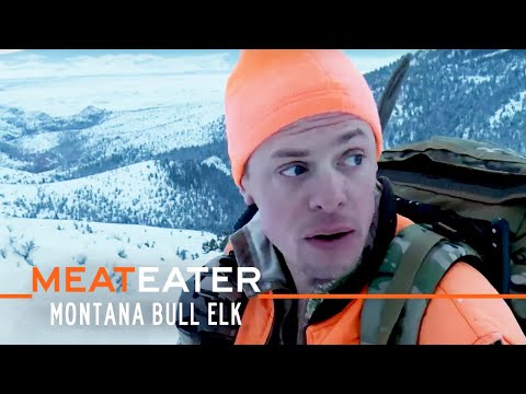 Видео: Локальное движение: Монтанский олень-бык | Сезон 4, серия 4 | MeatEater