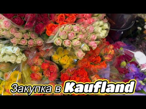 Видео: Снова НИЗКИЕ ЦЕНЫ в ГЕРМАНИИ \ Разоряют наш кошелек \ НА СОЦИАЛЕ ТАК НЕ ПОЖИВЕШЬ \ Надо РАБОТАТЬ