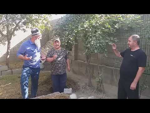 Видео: Писта дар пеши хона.