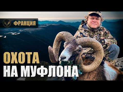 Видео: ГОРНАЯ ОХОТА НА МУФЛОНА И СЕРНУ В ГОРАХ ФРАНЦИИ | Часть 2 | Охота с Денисом Морозовым
